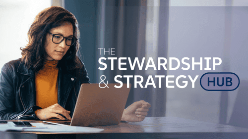 Stewardship and Strategy